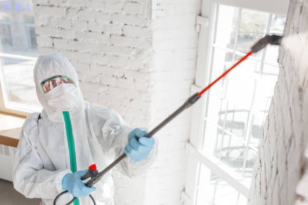 Best Mold Documentation for Insurance Claims  in Canadian Lakes, MI