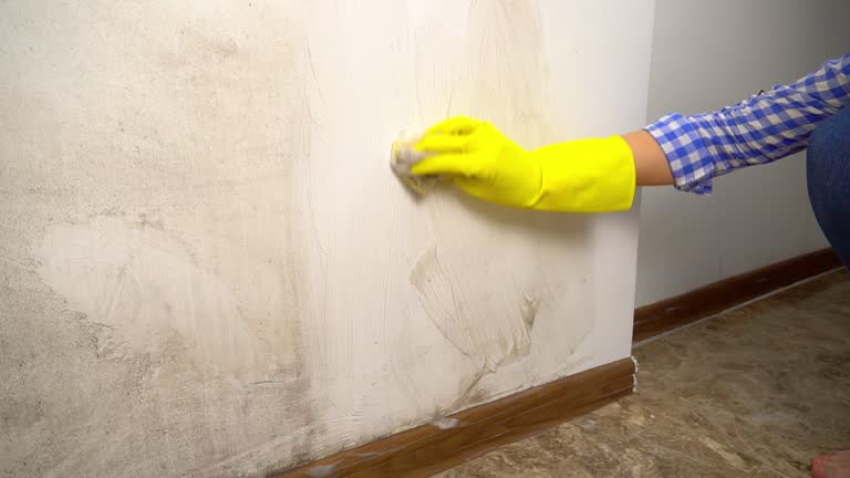 Best Indoor Air Quality Assessment  in Canadian Lakes, MI