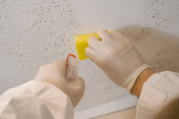 Best Air Quality Testing for Mold Spores  in Canadian Lakes, MI