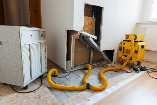 Best Water Damage & Mold Remediation  in Canadian Lakes, MI